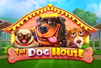 The Doge House